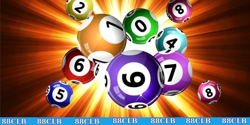 Hướng dẫn bắt cầu quả trám